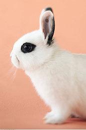 《南方公园：雪假》前瞻视频 偏重Roguelike体验